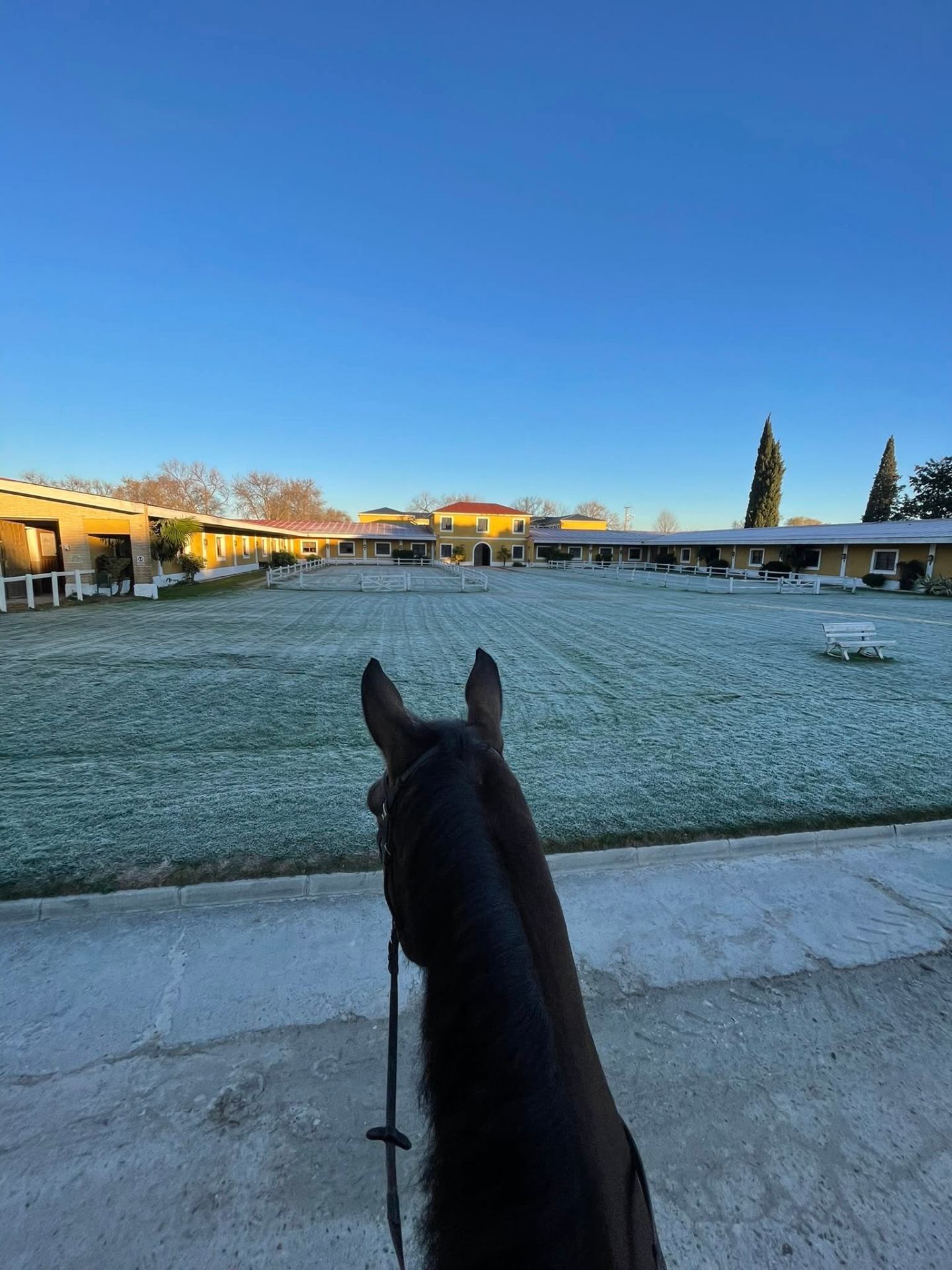 Vista desde entre las orejas de un caballo de las instalaciones de Club Hípico Yabusan