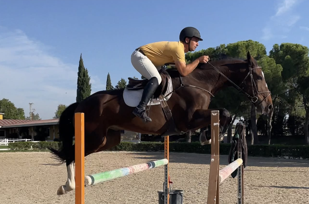 Jinete y caballo saltando un obstáculo en pista